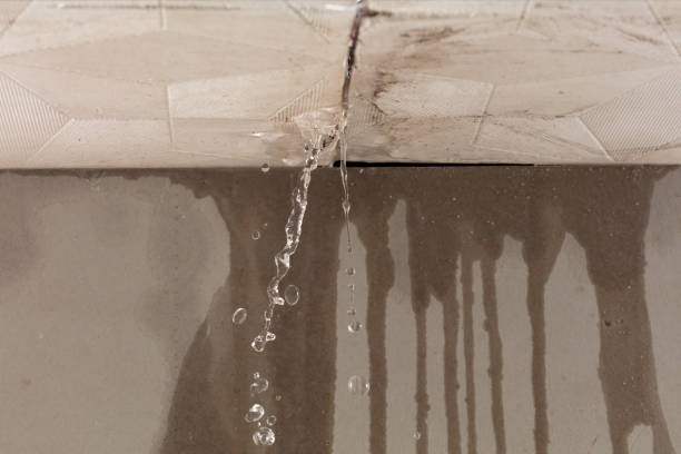 Professional Water Damage Repair technician working in Lima, OH